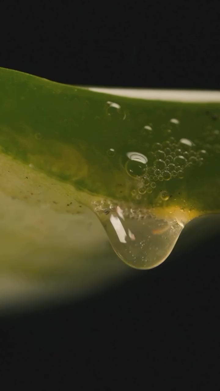 Aloe Vera Gel